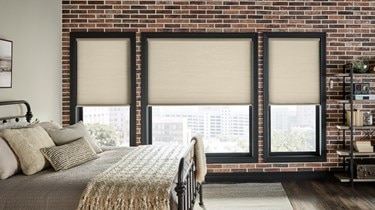 Blinds.ca: Premium Blackout Cellular Shades